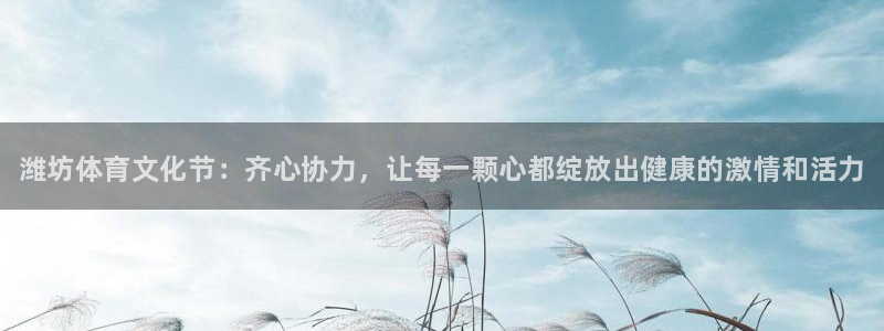 德国MK体育官方正版app集团：潍坊体育文化节：齐心