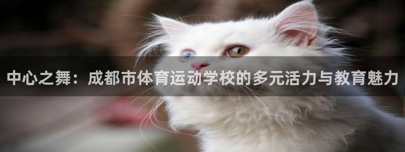 MK体育官方正版app娱乐是那个系列的台子：中心之舞