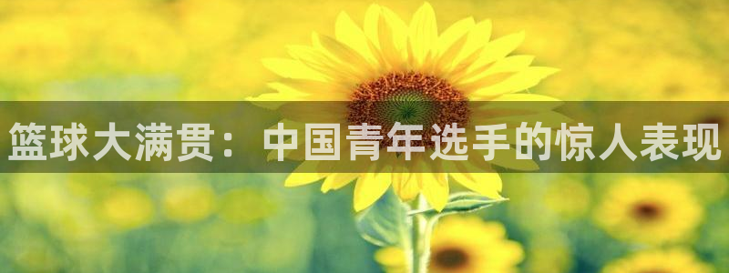 MK体育官方正版app集团官网首页网址：篮球大满贯：