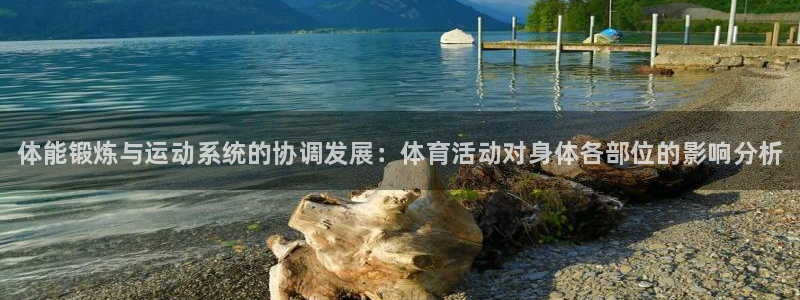 MK体育官网下载招商电话号码：体能锻炼与运动系统的协