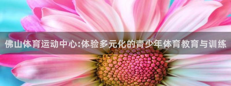 MK体育官方正版app代理：佛山体育运动中心:体验多