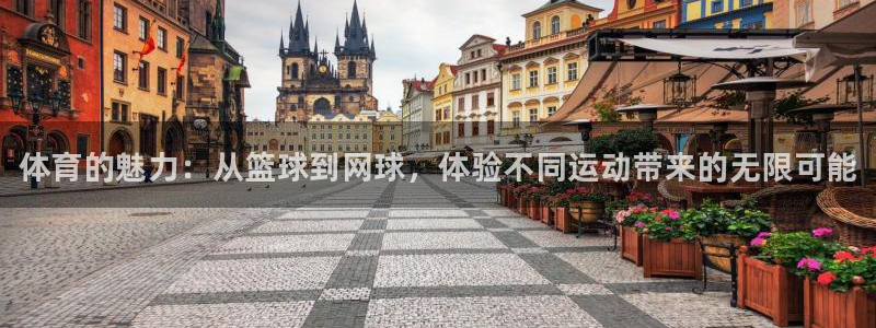 MK体育官方正版app娱乐首页网站大全：体育的魅力：