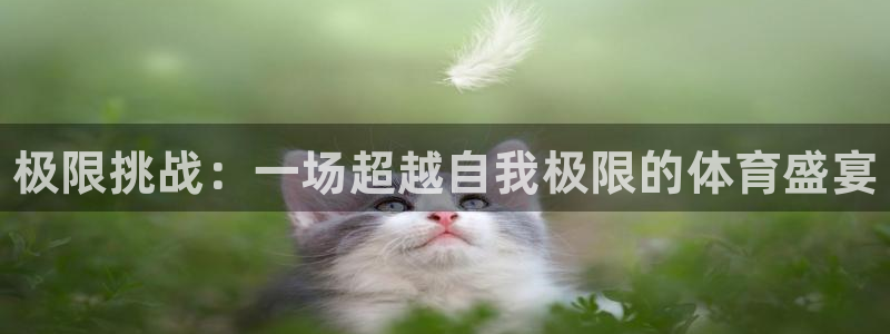 MK体育官网下载招商电话是多少号码：极限挑战：一场超