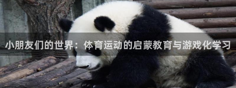 MK体育官网下载平台注册流程图：小朋友们的世界：体育