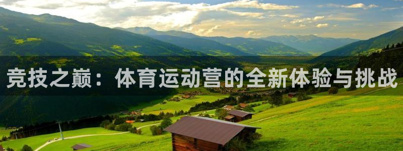 MK体育官网下载招商电话号码查询：竞技之巅：体育运动