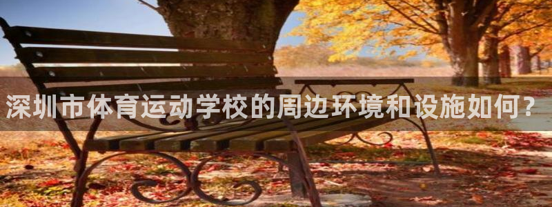 MK体育官方正版app集团E.ON：深圳市体育运动学
