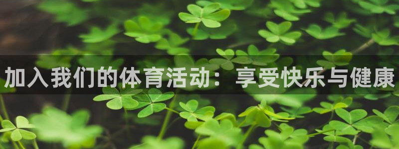 MK体育官方正版app娱乐代理怎么样