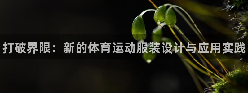 MK体育官网下载招商