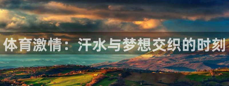 MK体育官网下载招商电话：体育激情：汗水与梦想交织的