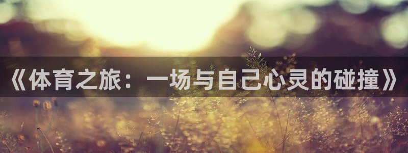 MK体育官网下载平台是正规平台吗：《体育之旅：一场与