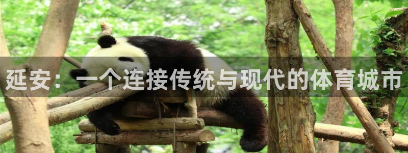 MK体育官方正版app科技：延安：一个连接传统与现代