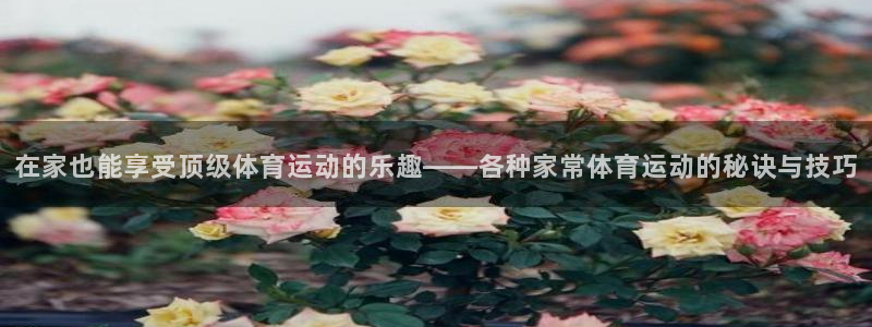MK体育官方正版app科技：在家也能享受顶级体育运动