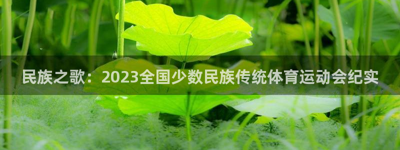 MK体育官方正版app娱乐：民族之歌：2023全国少