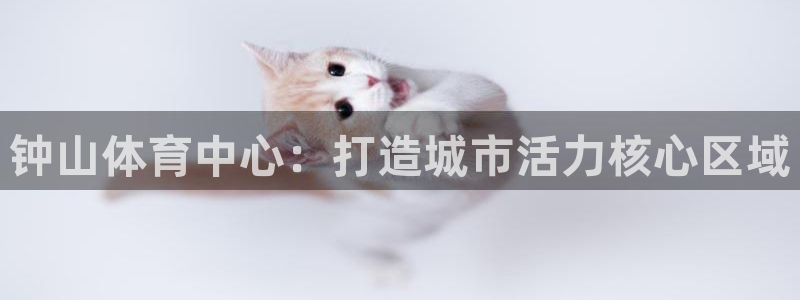 MK体育官网下载平台APP：钟山体育中心：打造城市活力核心区