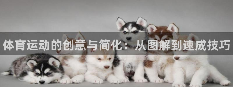 MK体育官网下载平台：体育运动的创意与简化：从图解到