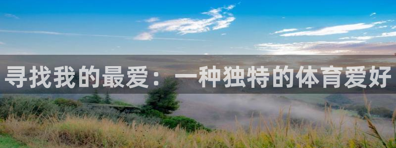 MK体育官方正版app集团官网首页：寻找我的最爱：一种独特的