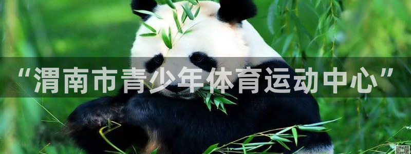 MK体育官方平台体育：“渭南市青少年体育运动中心”