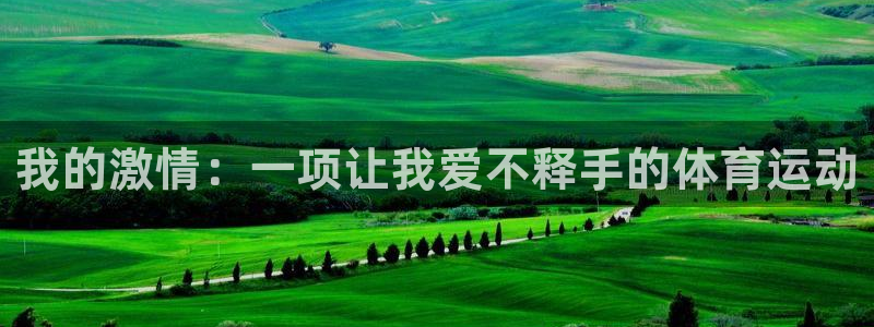 MK体育官方正版app娱乐平台：我的激情：一项让我爱