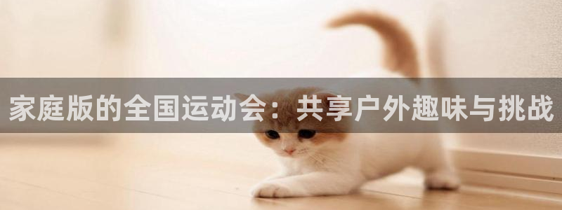 MK体育官方正版app代理