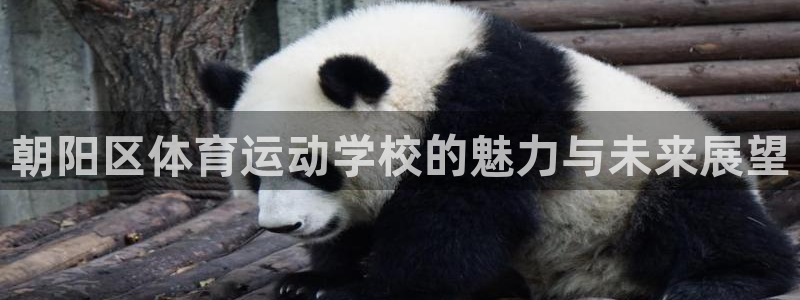 MK体育官网下载招商电话号码是多少号：朝阳区体育运动学校的魅