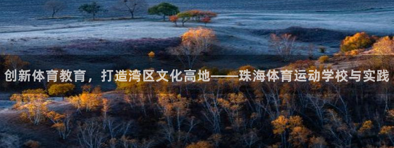 MK体育官网下载平台注册：创新体育教育，打造湾区文化高地——