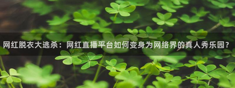 小九直播足球在线直播：网红脱衣大逃杀：网红直播平台如何变身为网络界的真人秀乐园？