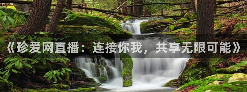 小九直播间足球直播：《珍爱网直播：连接你我，共享无限可能》