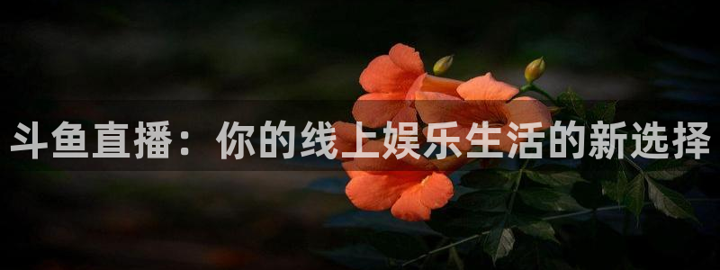 小九剧场免费观看