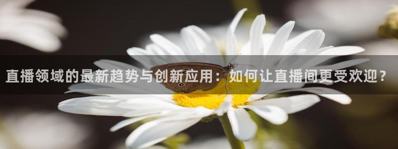 小九足球直播免费观看