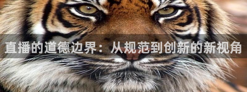 小九足球直播在线观看免费：直播的道德边界：从规范到创新的新视角