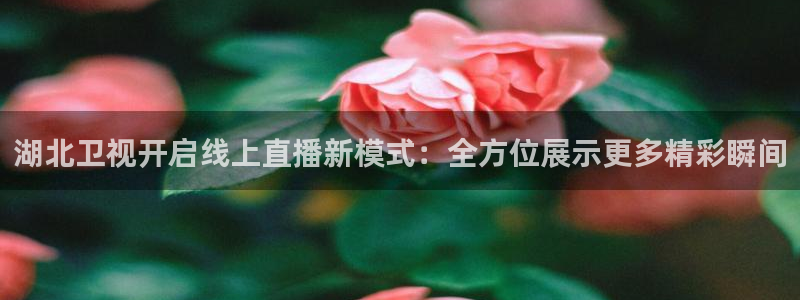 足球直播小九直播在线观看：湖北卫视开启线上直播新模式：全方位展示更多精彩瞬间