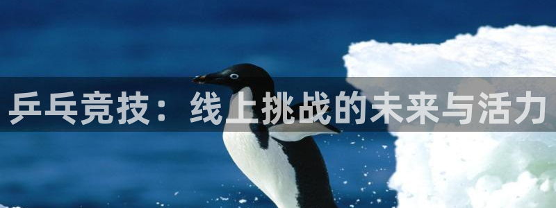 jrs小九篮球直播