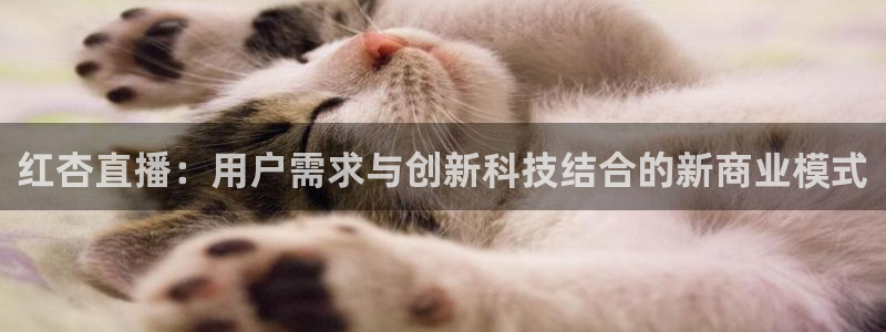 小九直播官方体育下载安装：红杏直播：用户需求与创新科技结合的新商业模式