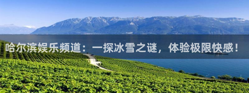 小九nba直播在线观看：哈尔滨娱乐频道：一探冰雪之谜，体验极限快感！