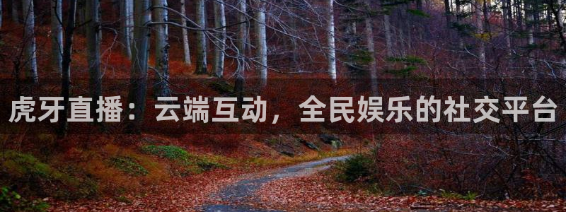 小九免费直播在线观看直播足球：虎牙直播：云端互动，全民娱乐的社交平台