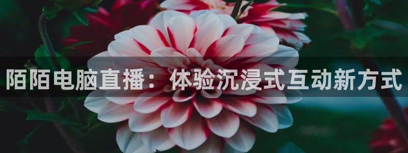 小九直播下载